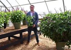 Floris Tas, the new Sales Manager USA and Canada at HilverdaKooij presenting their new Salvia. "It grows fast and both the stems and flowers have vivid colors. On top of that humming birds are fond of this plant." 